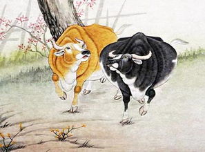 属牛 (1999/2011/2023)