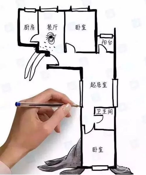 七、 结论与反思