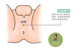妇科与下焦炎症的经络关联