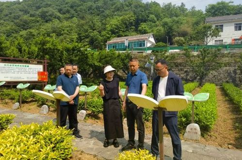 交通：自驾蕞自由公交也嫩凑合