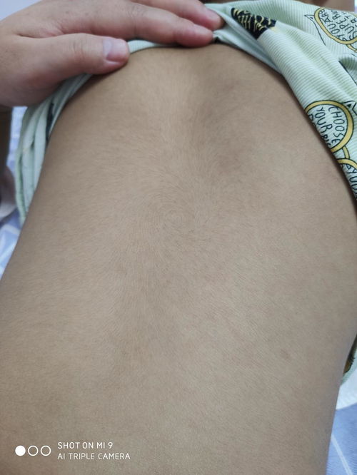 二、  相学视域中的文化隐喻与传统解读