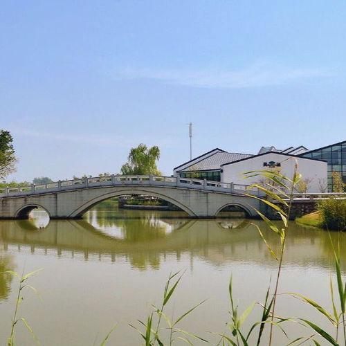 一、 套餐里的“神秘”内容：空气还是西北风？