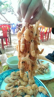 交通方式：折腾死你