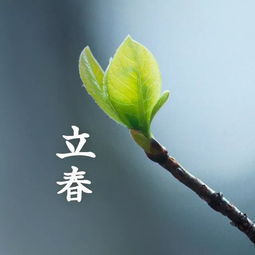 立春的气候特点：从解冻复苏到适宜生长