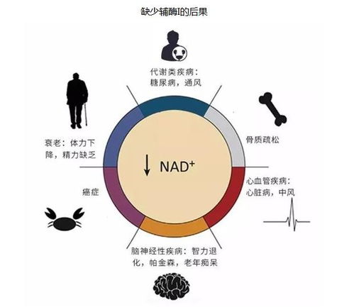 一、 生理机能的调适与身体康健的重塑