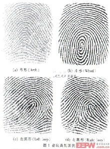 一、 指纹学的科学根基及其在刑事侦查中的应用