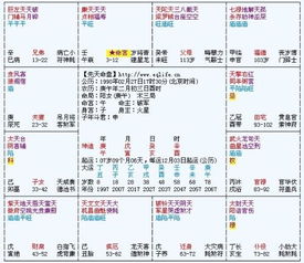 ：紫微命盘在情感动态判读中的学术实际价值