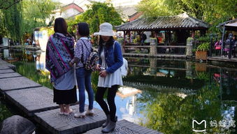 第二章：神秘的联系方式与令人抓狂的验证码