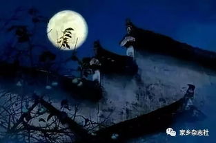1. 医者视角之生命之沉重
