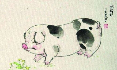 1962年属虎双子座2026年运势和62年属虎天秤座今日运势分别是什么？