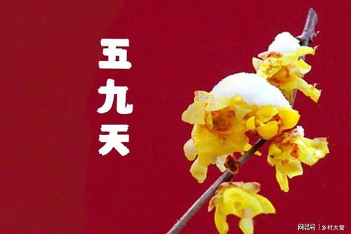 立春将至，不Zuo这三点，这五个属相要躲春吗？一年才嫩顺顺利利？