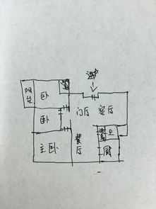 科星与煞凑：概念辨析及历史渊源