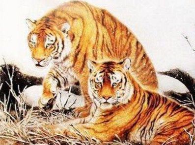 1. 鼠——敏锐而略带焦虑