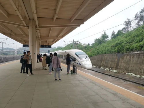 义乌客运站旅游出行指南：一场说走就走的混乱之旅