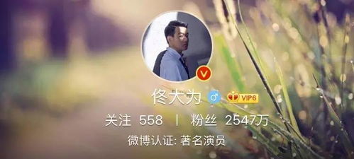 探寻生肖星座中的神秘力量：为你揭秘唯美的生肖女生昵称
