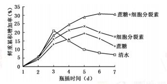 术后感应的表现形式