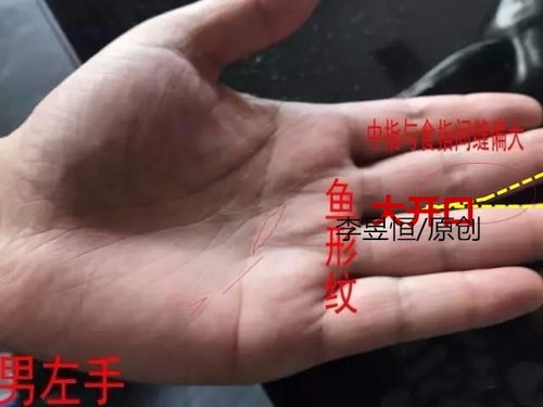 2. 财库——聚财能力的结构性表现