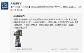 消防部门的初步调查