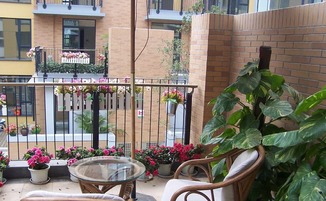 在露台种植瓜果会对家宅风水产生不良影响吗？