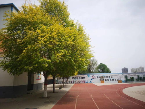 2026年哪些生肖将迎来正缘红鸾入命，天喜红鸾生肖解析具体含义是什么？