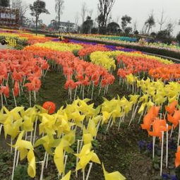 1. 套餐内容：看似划算，实则鸡肋
