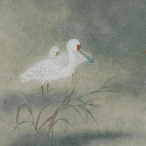 住宅周围种花树对风水有好处吗？