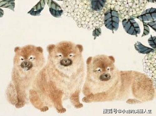 2026年属狗的八月出生吉日和走大运的年份分别是哪一年？