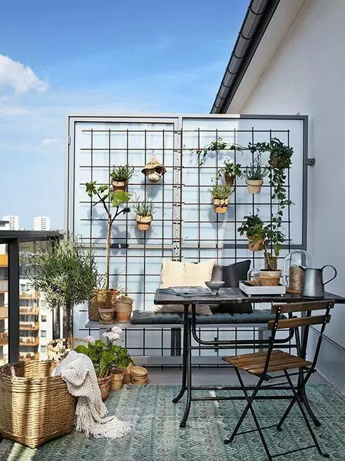 一、  物理屏障的构建：植物与墙体在阻挡煞气中的实际效用