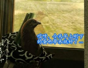 二、 昆明居民夜间听闻连绵节奏怪声实录