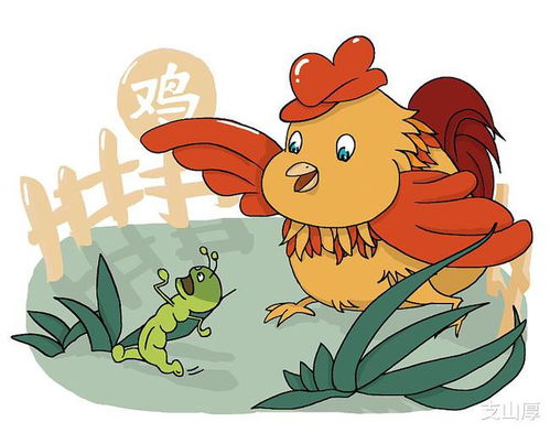 三、“雞”與其它生肖之間關係——配對與沖克視角
