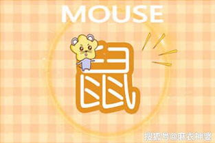 属鼠水瓶座2026年七月运势中，水瓶座今日开运物品具体指什么？