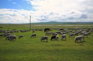 2. 草原上的“星级酒店”——贵得离谱但不一定好用
