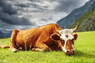 深圳：牛人的黄金天堂