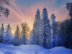 3. 羊草山（爬山还是滑坡？）