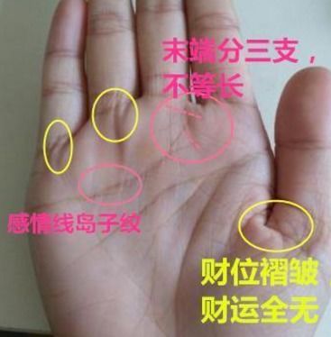 （一）手指形态：财运亨通的精细表征