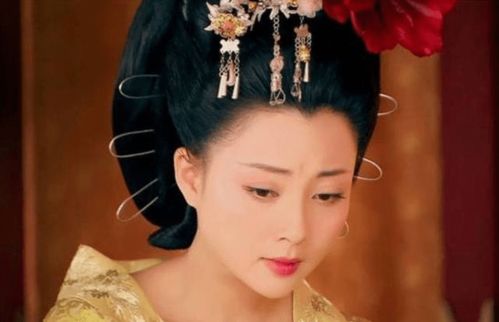 五、关于wú zhèng tiān (皇帝) 的直系子嗣数量解析（共计六人）及各自表现差异性评析
