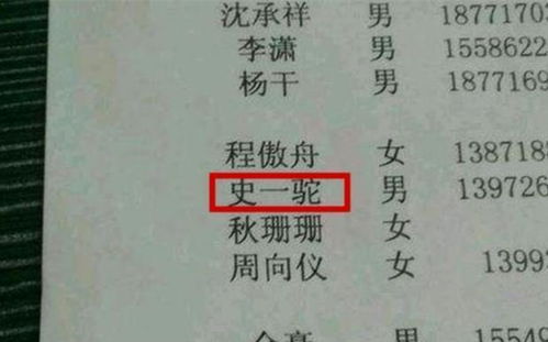 一、 了解龙的文化底蕴内涵：龙年男宝宝起名的灵感源泉