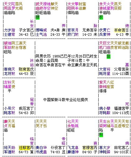 紫微星：理性择偶与事业优先