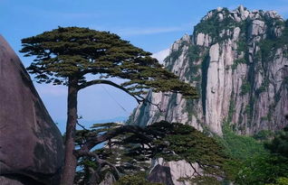 高铁直达：黄山北站到塞西站的“隐藏班次”