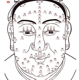 主要面相特征及其对应婚姻行为模式