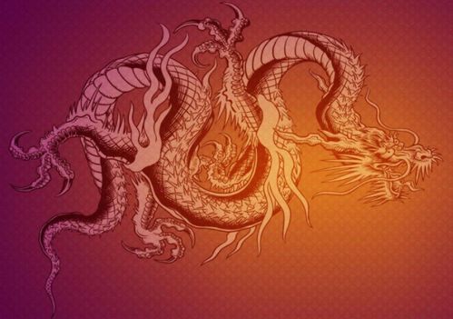 二、 其他生肖在晚年福祉中的表现差异化解析