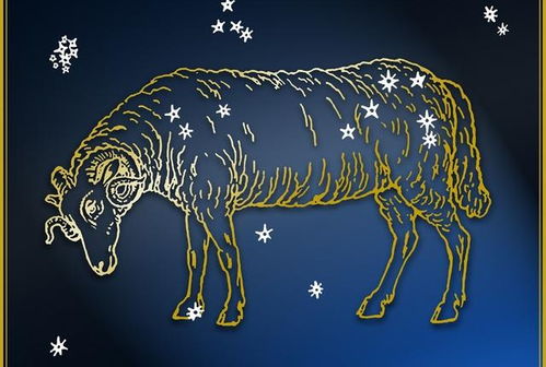 2026年农历七月属羊金牛座运势和1991年属羊金牛座下半年运势分别如何？