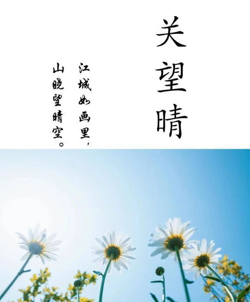 前言：为何给彭姓女孩取个诗意名字？