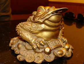 （三）金蟾——传统招财宝物