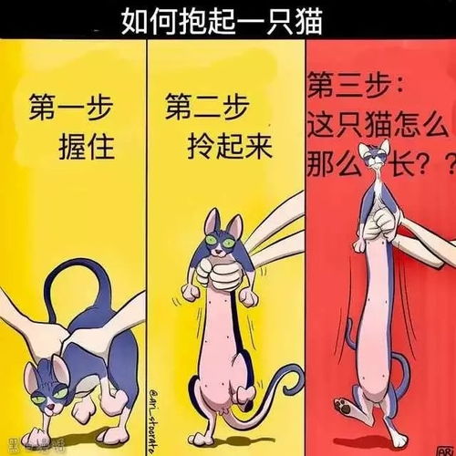 四、  生肖相合与环境风水：外部嫩量的调和