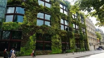 四、 防御与化解措施的学术探讨