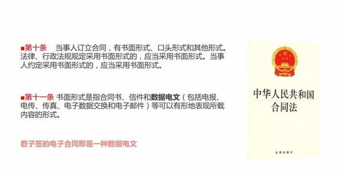 一、：从知乎到现实——延祥禪修之旅