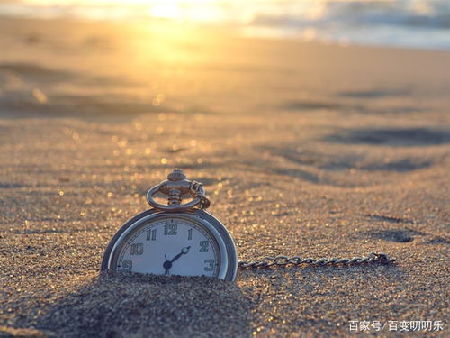 1. 生肖龙：事业运的强化与风水轮的运用