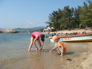 跟团游：省心但有限制