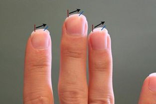 一、  正方形状的指甲：正直品格与稳健财运的象征